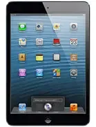 iPad mini 1